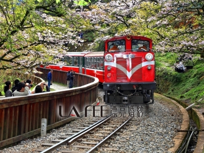 阿里山婚紗攝影景點參考